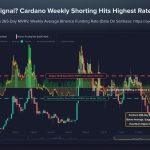 Cardano ADA shorts spike to highest since June 2023 as 71% crash meets Midnight launch this week risk