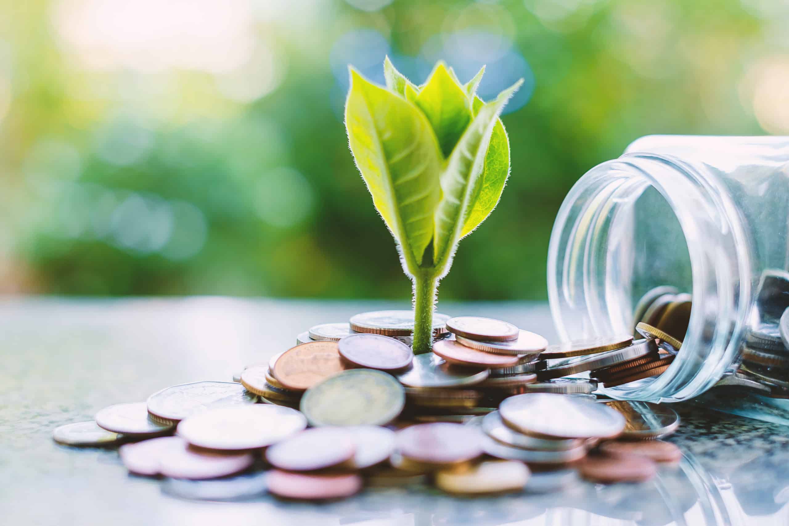 2 Canadian Growth Stocks Worth Adding to a TFSA This Year