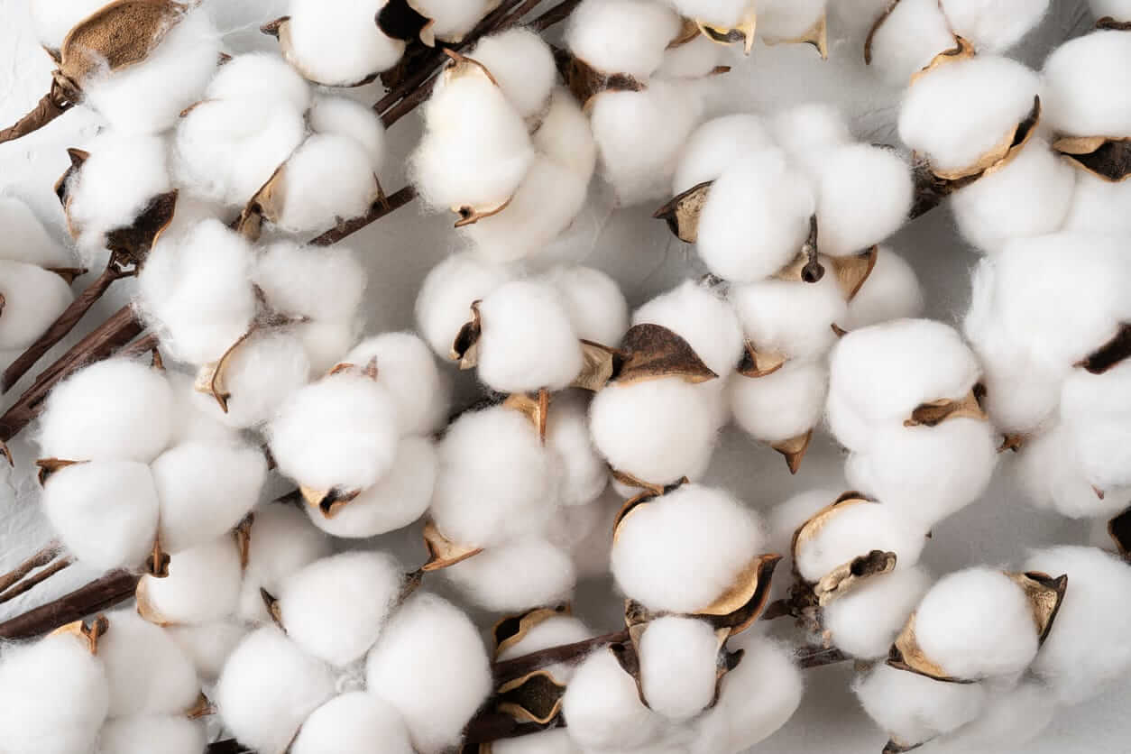Cotton Closes Mixed on Wednesday